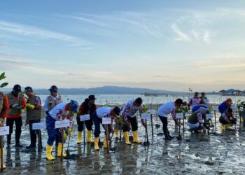 Penanaman tujuh ribu mangrove