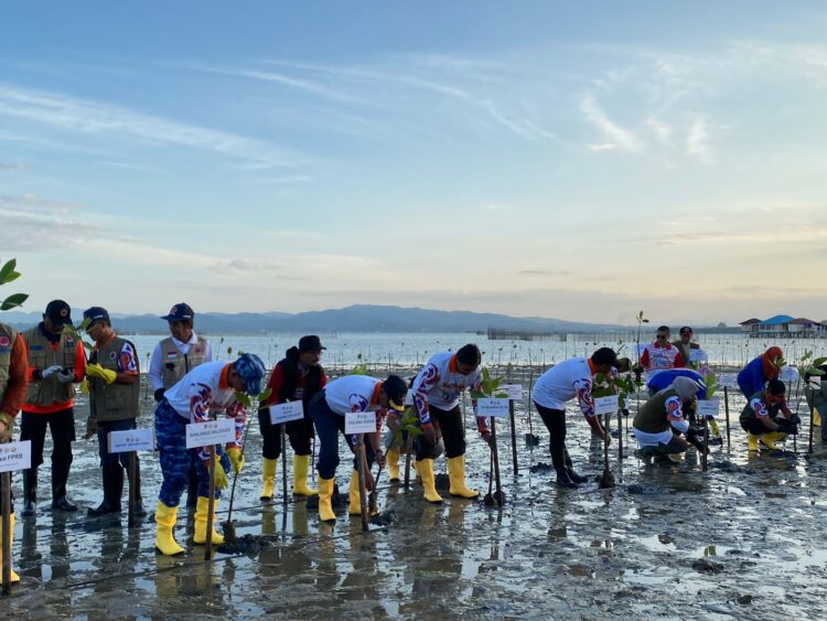 Penanaman tujuh ribu mangrove