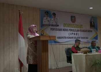 Pembukaan sosialisasi penyusuan IPKD