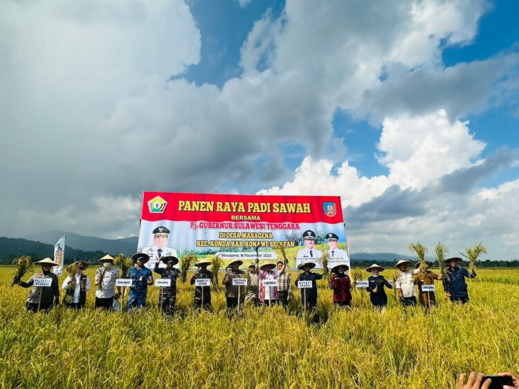 Pemprov Sulta dan Pemkab Konsel saat panen raya di Konda