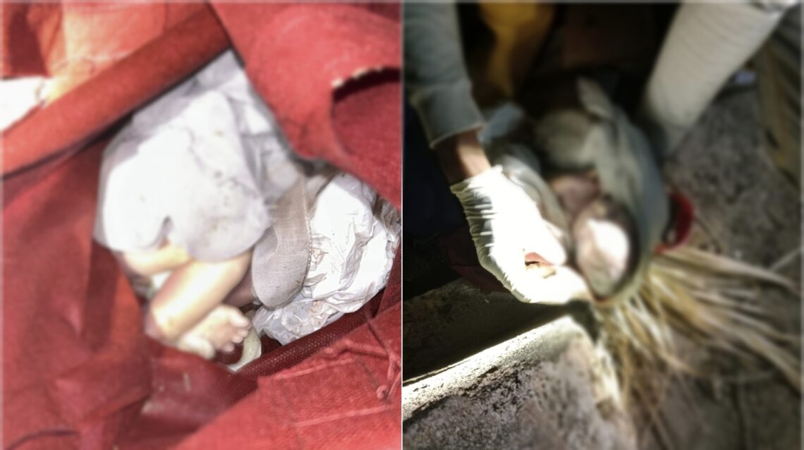 Bayi Laki-laki Tak Bernyawa Ditemukkan di Pembuangan Sampah Kendari 10 Bayi laki-laki yang ditemukkan di tempat sampah