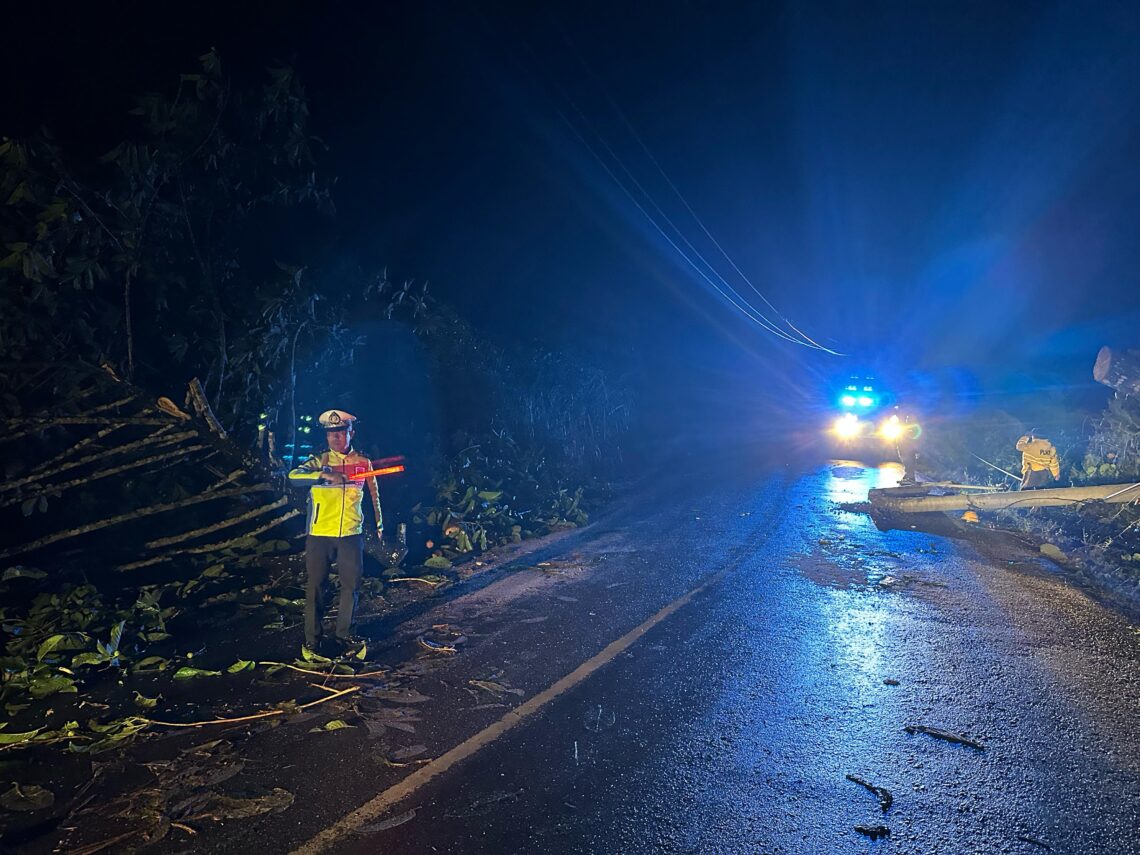 Sebabkan Macet, Polres Konsel Gerak Cepat Evakuasi Pohon Tumbang 10 Satlantas Polres Konsel saat evakuasi pohon tumbang