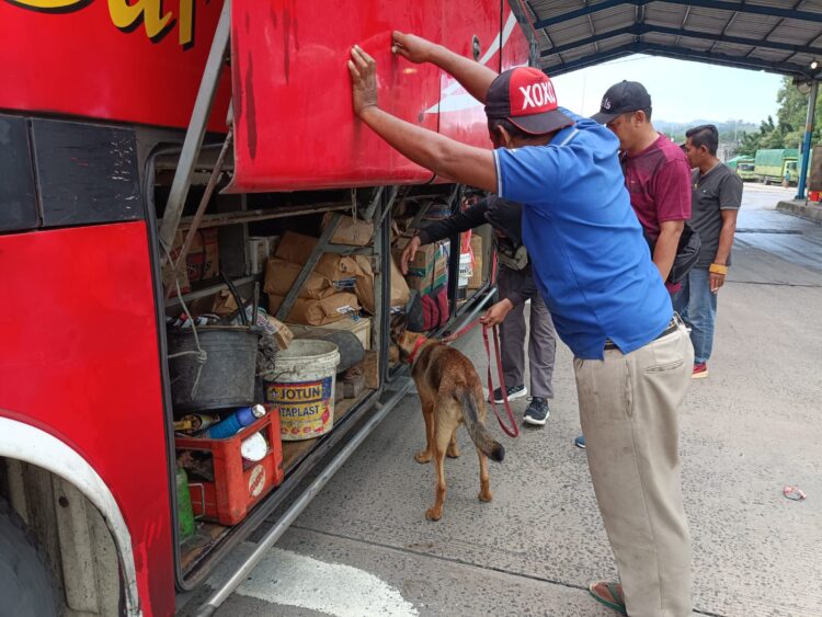 Anjing K9 dibantu pawang melakukan pemeriksaan salah satu kendaraan (Humas Polri)