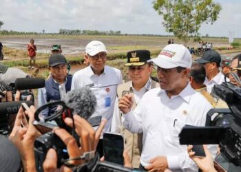 Mentan RI saat Kunker di Banyuasin, Foto : Sekretariat Presiden