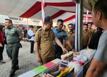 Kepala DPMPTSP, Parinringi disalah satu kegiatan promosi Sultra