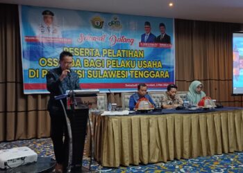 Kabid Perencanaan dan Pengembangan Iklim dan Promosi DPMPTSP Sultra, Jany saat membuka kegiatan pelatihan OSS-RBA