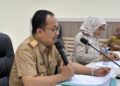 Kepala Dinas Penanaman Modal dan Pelayanan Terpadu Satu Pintu (DPMPTSP) Provinsi Sulawesi Tenggara, Parinringi