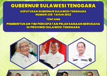 Pembentukan Tim Percepatan Pelaksanaan Berusaha Provinsi Sulawesi Tenggara