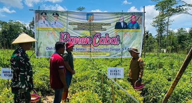 Salah satu pertanian hortikultura di Kabupaten Konawe Selatan