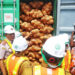 Sejumlah kelapa bulat yang sementara di masukan kedala kontainer dan siap untuk di ekspor ke Tiongkok