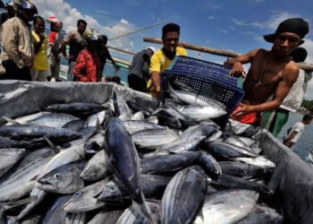 Salah satu sektor perikanan di Sulawesi Tenggara