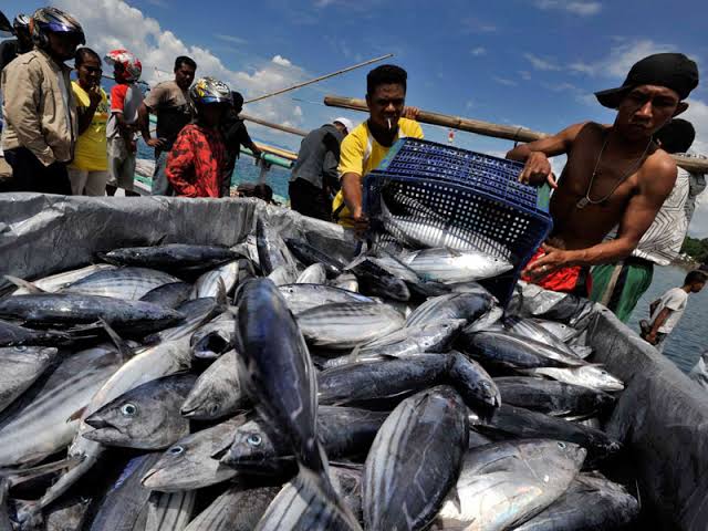 Salah satu sektor perikanan di Sulawesi Tenggara