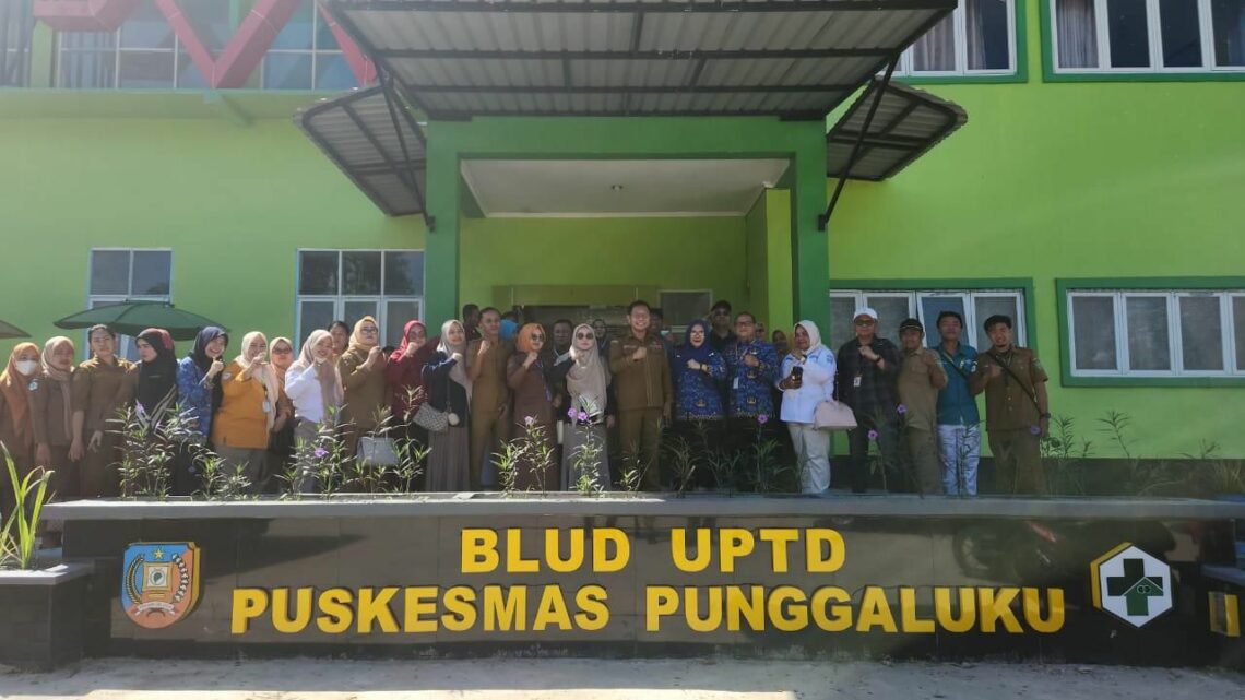 Posyandu Sido Rukun Konsel Raih Penghargaan Dari Kemenkes 10 Puskesmas Punggaluku sebagai pendamping Posyandu Sido Rukun