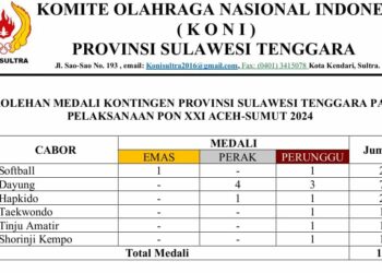 Tabel perolehan medali provinsi Sultra yang menunjukan prestasi buruk pada PON Aceh-Sumut