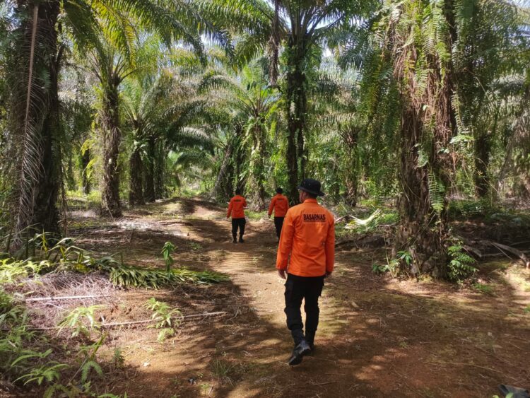 Tim SAR saat melakukan pencarian di kebun sawit