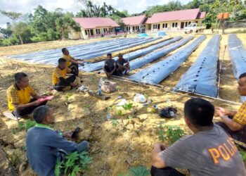 Pembentukan kelompok tani di Kecamatan Abeli