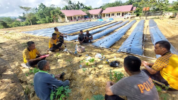 Pembentukan kelompok tani di Kecamatan Abeli