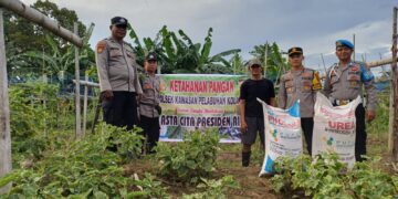 Polsek KPK bersama personel beri bantuan pupuk pada pedagang