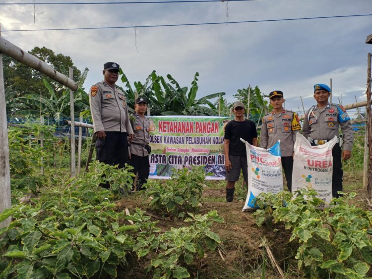 Polsek KPK bersama personel beri bantuan pupuk pada pedagang