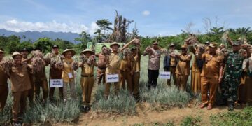 Bupati Konut, Ruksamin bersama wakilnya panen raya bawang merah