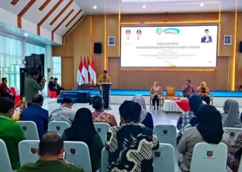 Sinergi Pemkab Konsel dengan BPKP melalui FGD