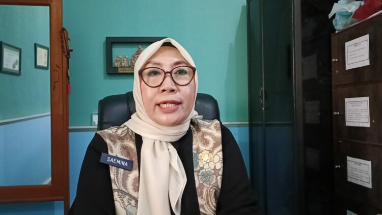Kadis Pendidikan dan Kebudayaan Kota Kendari, Saemina