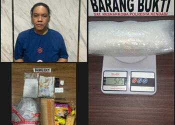 Pelaku usai diamankan Polresta Kendari bersama BB Narkotika seberat 525 Gram