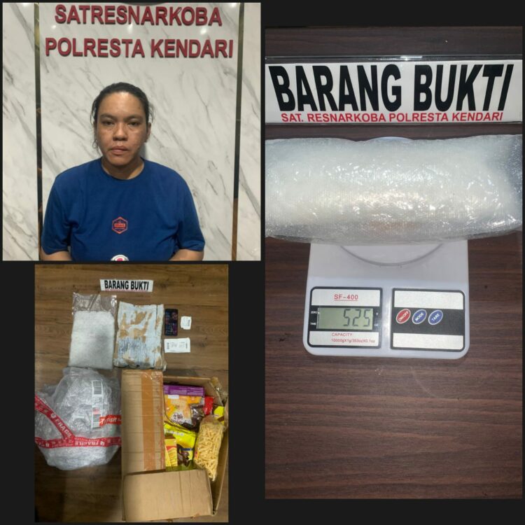 Pelaku usai diamankan Polresta Kendari bersama BB Narkotika seberat 525 Gram