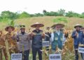 Panen jagung Pemkot Kendari bersama kelompok tani di Kelurahan Lalodati