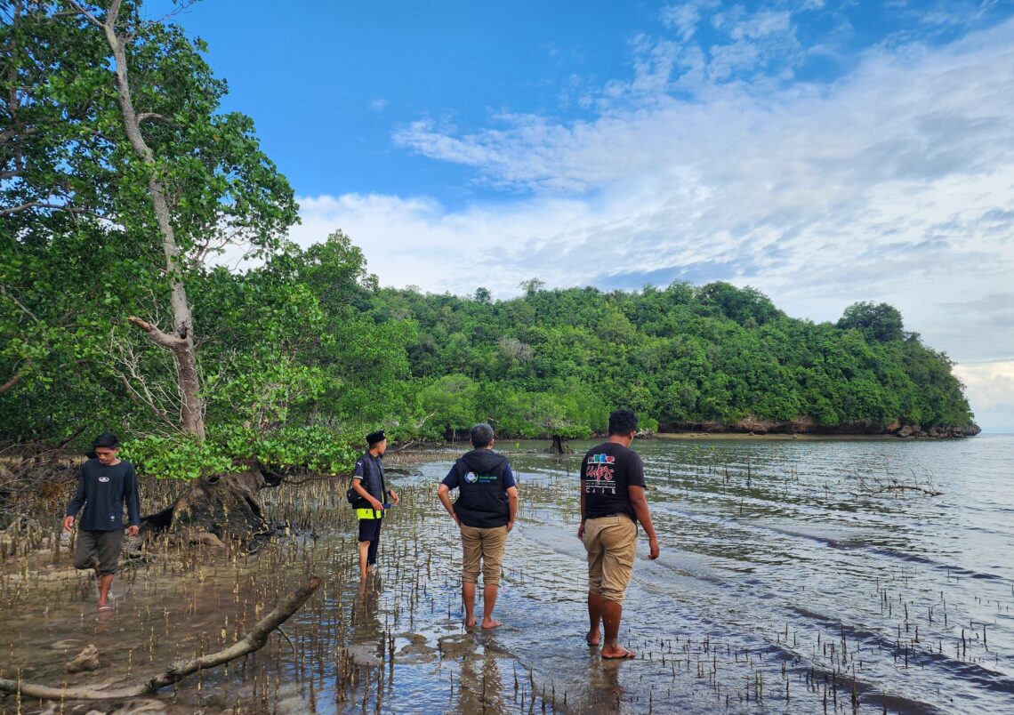 Yayasan Batundu Lestari mengecek lokasi penanaman ratusan mangrove di Pantai Wisata Torobulu
