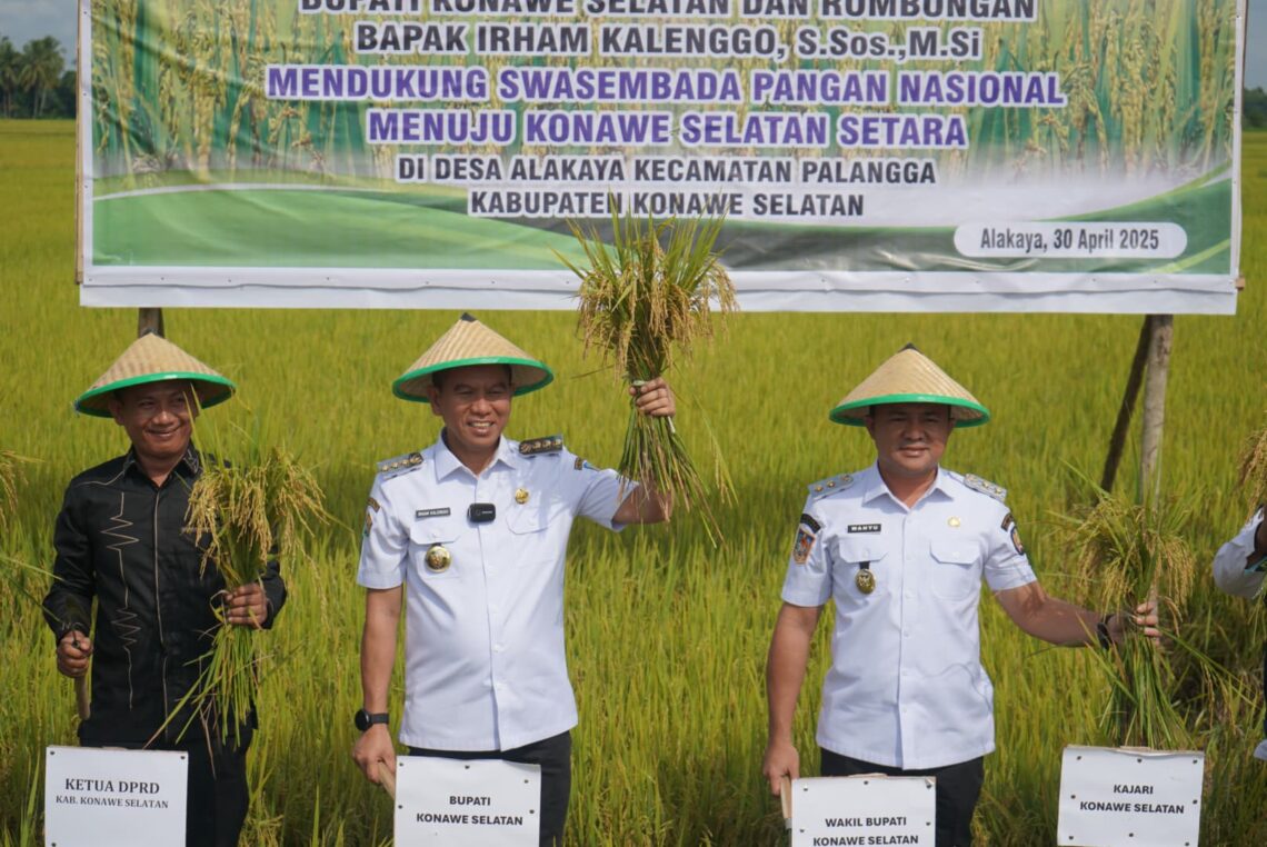 Bupati Konsel dan Wakil Bupati panen raya di Desa Alakaya