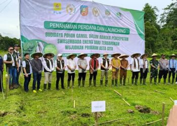 Pemda Konsel saat launching penanaman perdana budidaya gamal di Desa Margacinta, Kecamatan Moramo