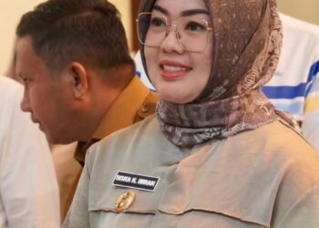 Wali Kota Kendari, Siska Karina Imran