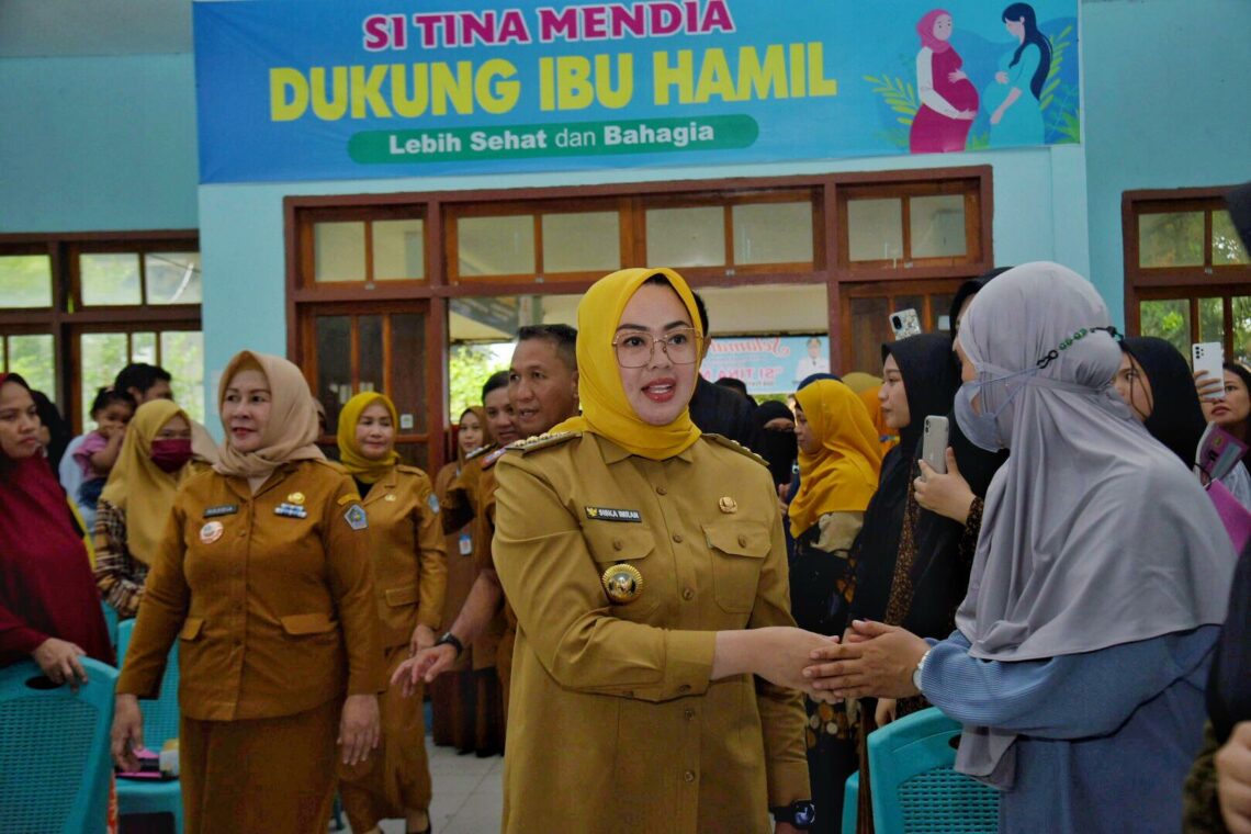 Si Tina Mendia, Program Pemkot Tekan Angka Kematian Ibu & Anak di Kendari 10 Wali Kota Kendari, Siska Karina Imran dipeluncuran program Si Tina Mendia