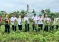 Wakil Wali Kota Kendari, Sudirman panen perdana kacang tanah bersama Kelompok Tani Jaya