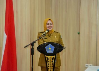 Wali Kota Kendari, Siska Karina Imran