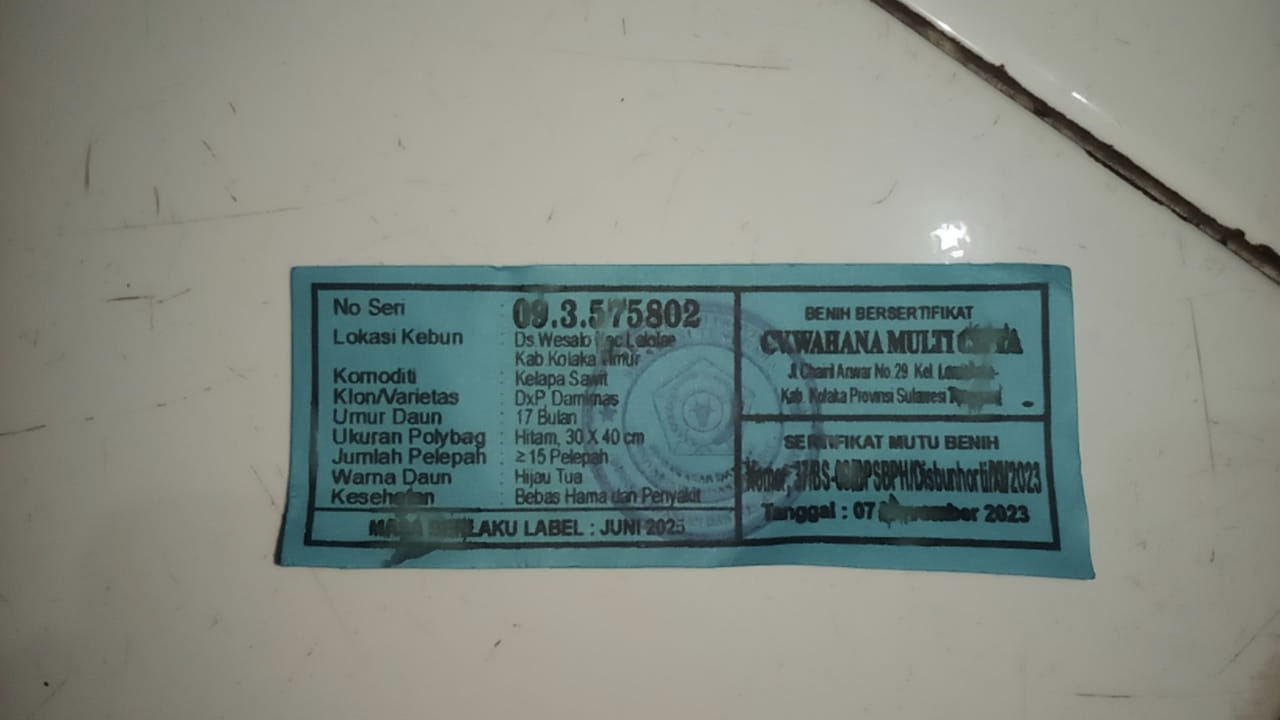 Pengadaan Bibit Sawit di Kolono Konsel Diduga Ilegal, Kades dan Kontraktor Kongkalikong 12 Pengadaan Bibit Sawit di Kolono Konsel Diduga Ilegal, Kades dan Kontraktor Kongkalikong