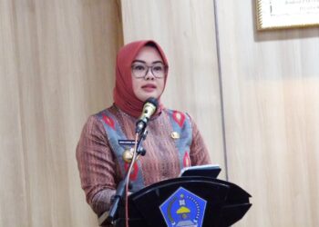Wali Kota Kendari, Siska Karina Imran
