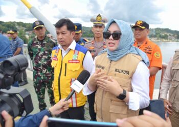 Wali Kota Kendari, Siska Karina Imran