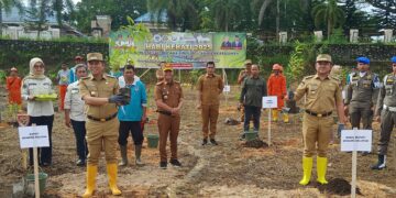 Bupati Konsel, Irham Kalenggo dan Wabup, Wahyu Ade Pratama, didampingi Kepala DLH, Hasran Parenda melakukan penanaman pohon