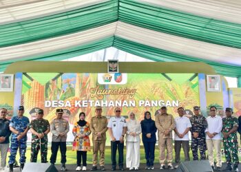 Pemkab Konsel Jadi Lokasi Peluncuran Program Desa Ketahanan Pangan