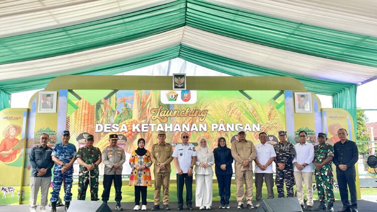 Pemkab Konsel Jadi Lokasi Peluncuran Program Desa Ketahanan Pangan