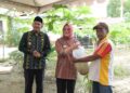 Wali Kota Kendari, Siska Karina Imran didampingi Wakil Wali Kota, Sudirman menyerahkan secara simbolik bibit ikan