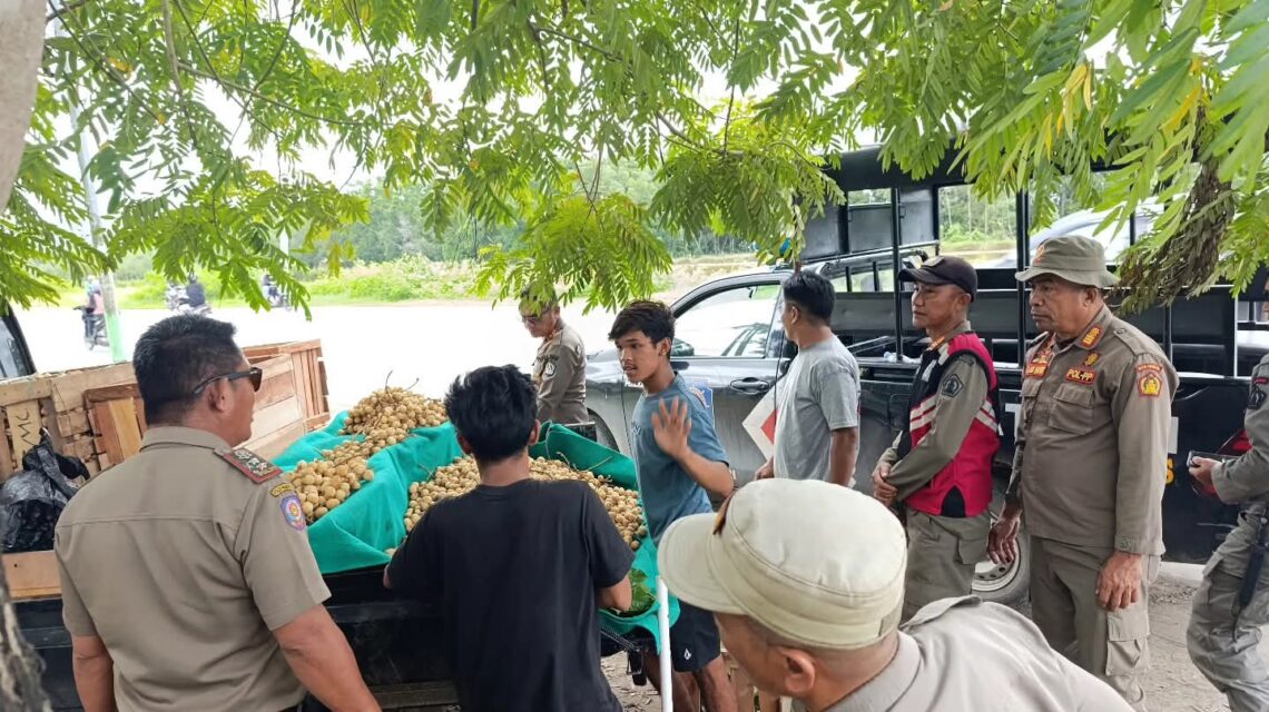 Satpol PP Kendari saat menertibkan PKL