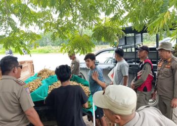 Satpol PP Kendari saat menertibkan PKL