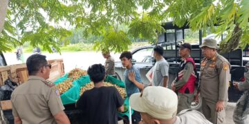 Satpol PP Kendari saat menertibkan PKL
