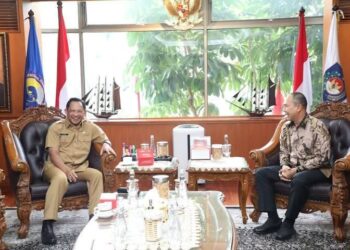 Gubernur Sultra saat audiensi dengan Mendagri di Jakarta