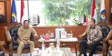 Gubernur Sultra saat audiensi dengan Mendagri di Jakarta