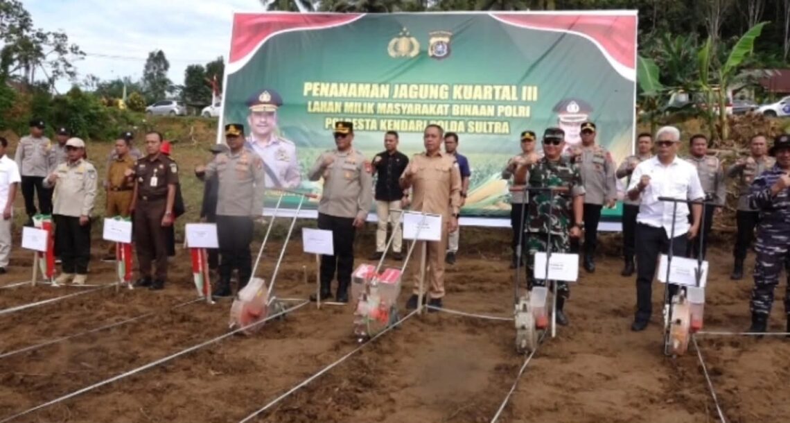 Penanaman jagung kwartal III di Keluarahan Abeli Dalam, Kecamatan Puuwatu, Kendari