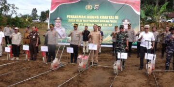 Penanaman jagung kwartal III di Keluarahan Abeli Dalam, Kecamatan Puuwatu, Kendari
